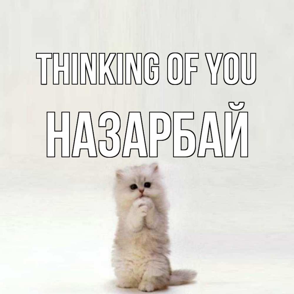 Greetings card с именем, НАЗАРБАЙ Thinking of you кот стоит на задних лапах Greetings with text for free download 