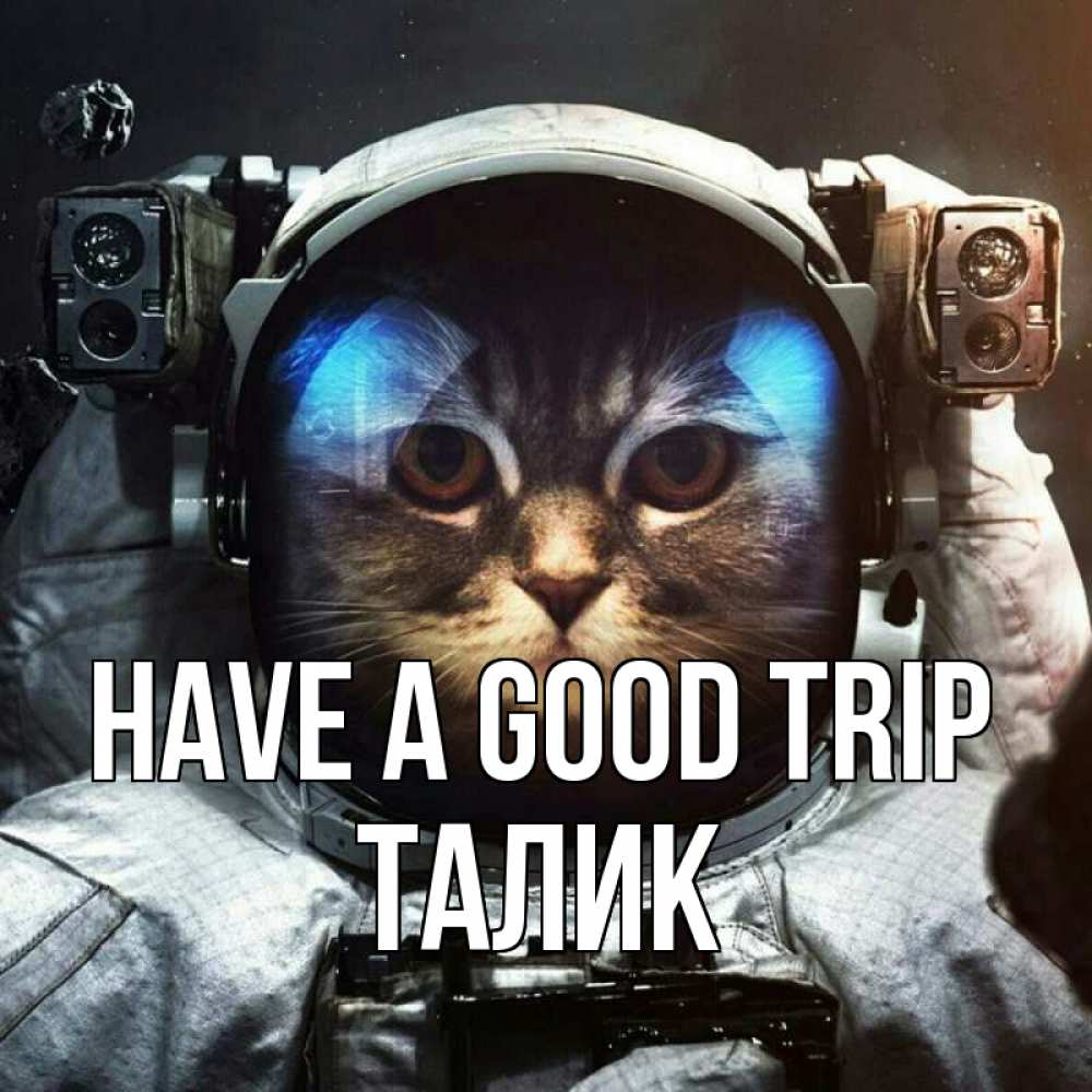 Greetings card с именем, Талик Have a good trip желает удачно добраться Greetings with text for free download 