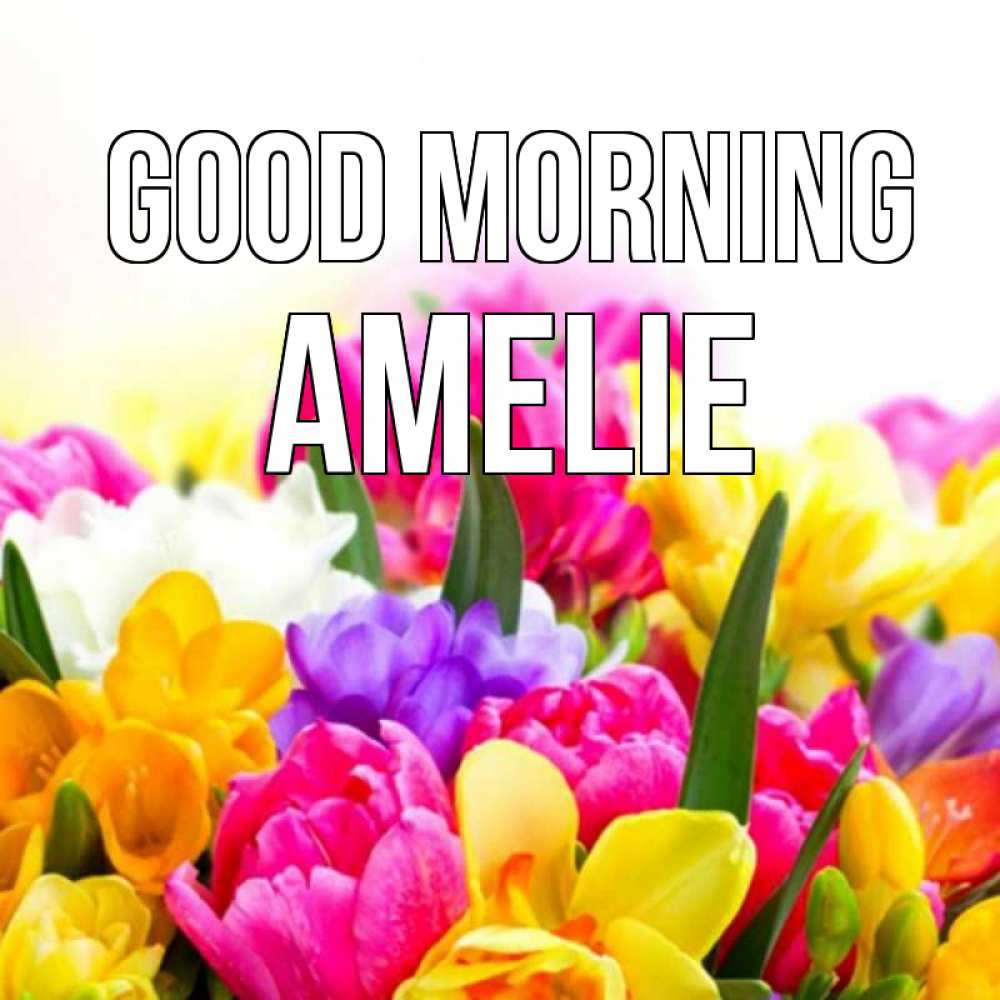 Greetings card с именем, Amelie Good morning создать открытку со свое подписью Greetings with text for free download 