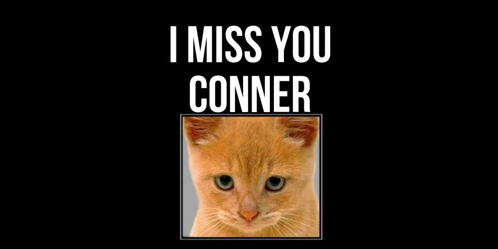 Greetings card с именем, Conner I miss you открытки рыжий котенок скучает по тебе Greetings with text for free download 