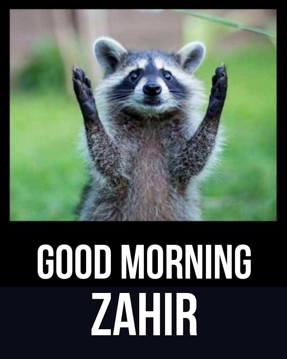 Greetings card с именем, Zahir Good morning хорошее настроение утречком Greetings with text for free download 