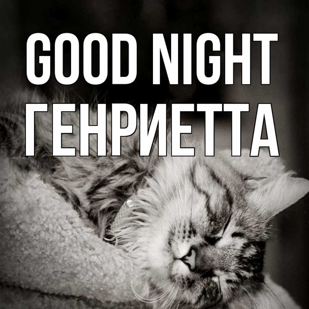 Greetings card с именем, Генриетта Good night котярик пушистый Greetings with text for free download 
