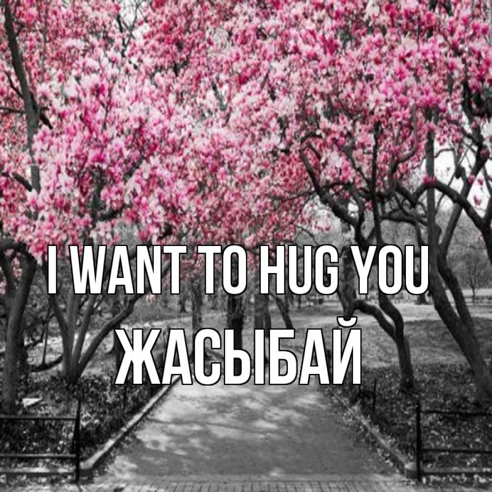 Greetings card с именем, Жасыбай I want to hug you обработанное фото Greetings with text for free download 