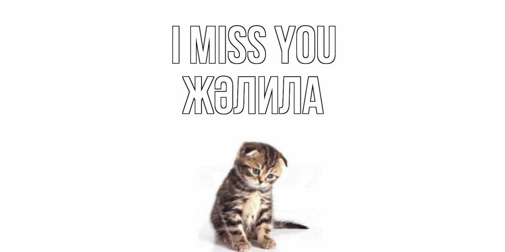 Greetings card с именем, ЖӘЛИЛА I miss you кот Greetings with text for free download 