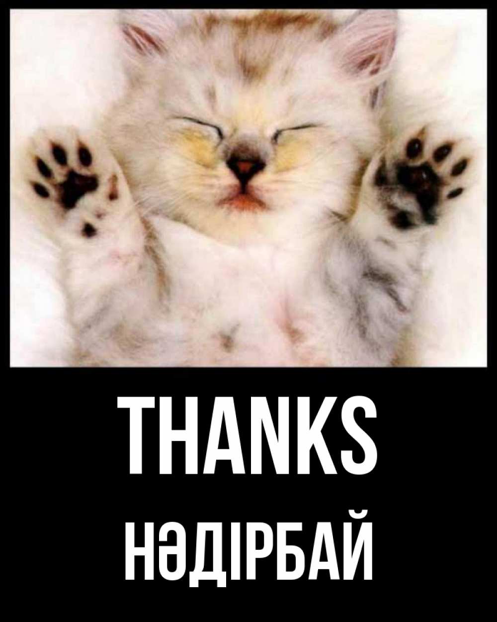 Greetings card с именем, НӘДІРБАЙ Thanks маленький котенок Greetings with text for free download 