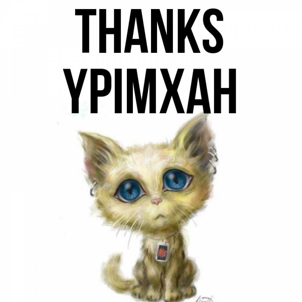 Greetings card с именем, Үрімхан Thanks рисованный кот благодарит вас Greetings with text for free download 