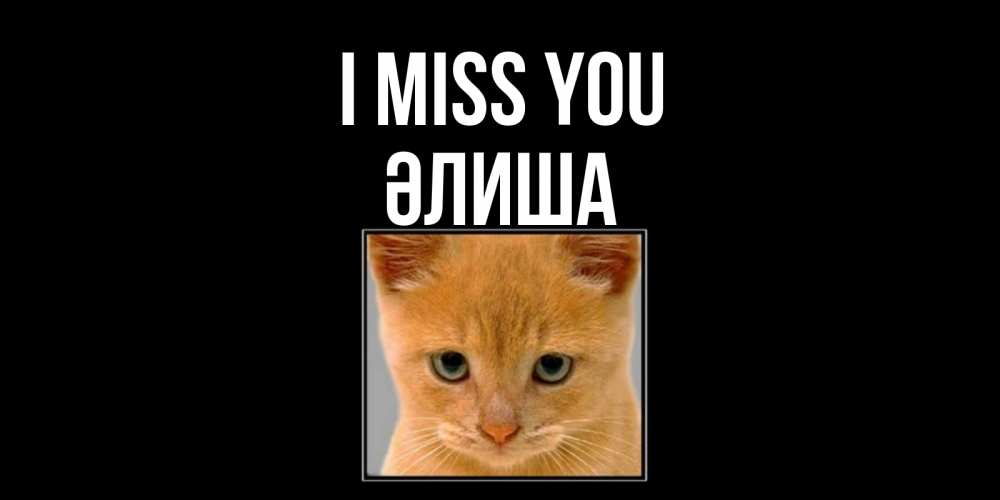 Greetings card с именем, ӘЛИША I miss you открытки рыжий котенок скучает по тебе Greetings with text for free download 