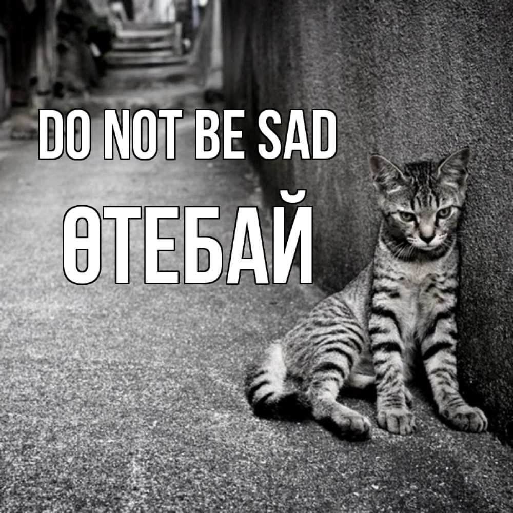 Greetings card с именем, ӨТЕБАЙ Do not be sad скучающий котик Greetings with text for free download 