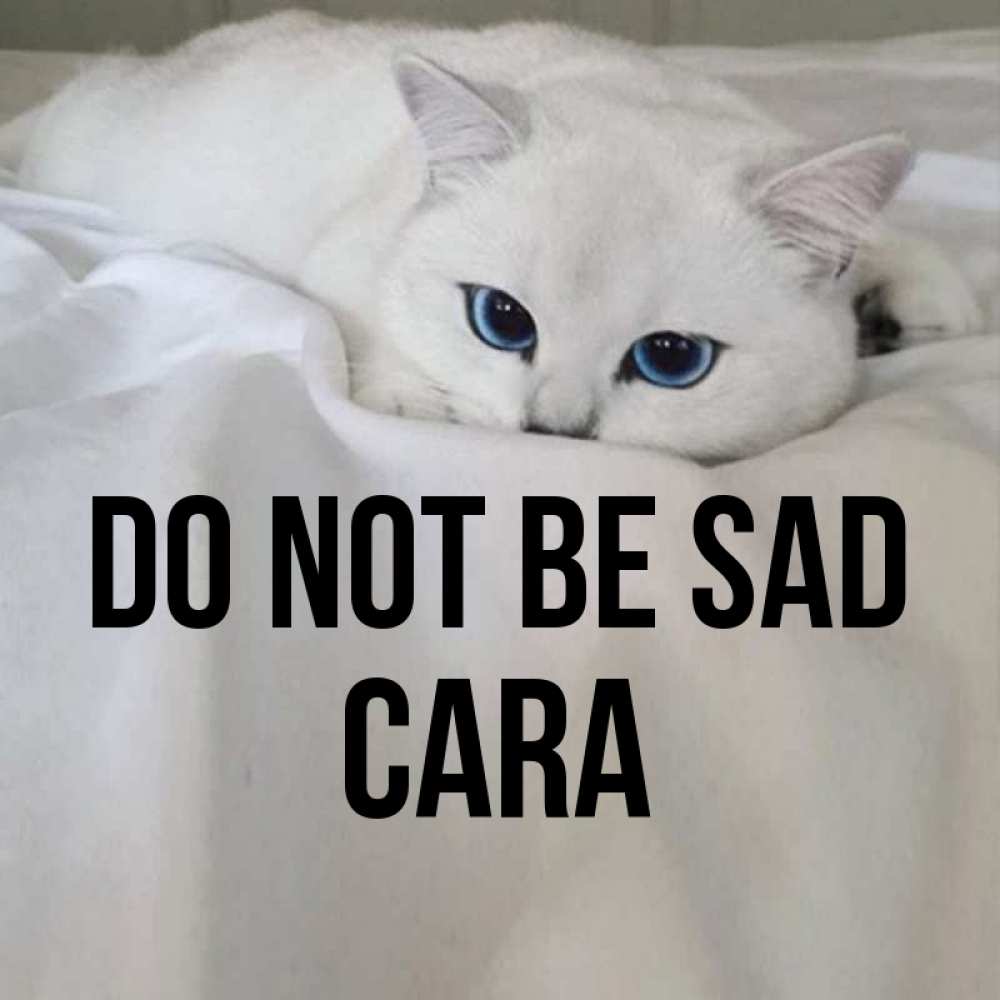 Greetings card с именем, Cara Do not be sad Голубоглазая кошка Greetings with text for free download 