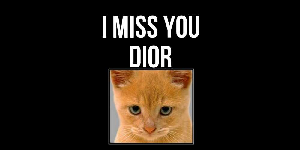 Greetings card с именем, Dior I miss you открытки рыжий котенок скучает по тебе Greetings with text for free download 