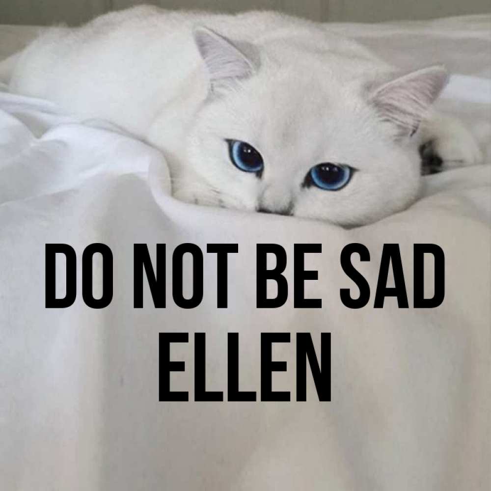 Greetings card с именем, Ellen Do not be sad Голубоглазая кошка Greetings with text for free download 
