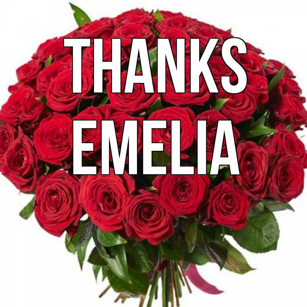 Greetings card с именем, Emelia Thanks букет красных роз Greetings with text for free download 