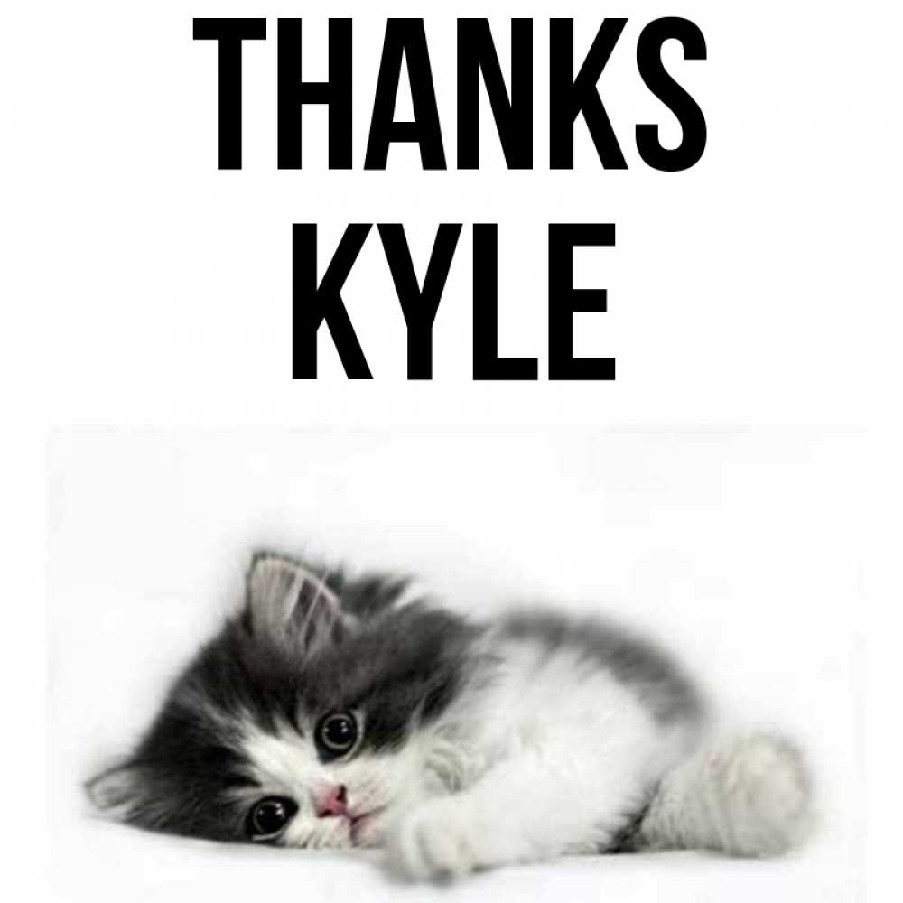 Greetings card с именем, Kyle Thanks черный и белый кот Greetings with text for free download 