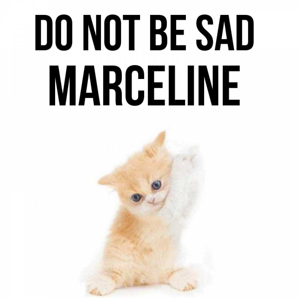 Greetings card с именем, Marceline Do not be sad просящий кот Greetings with text for free download 