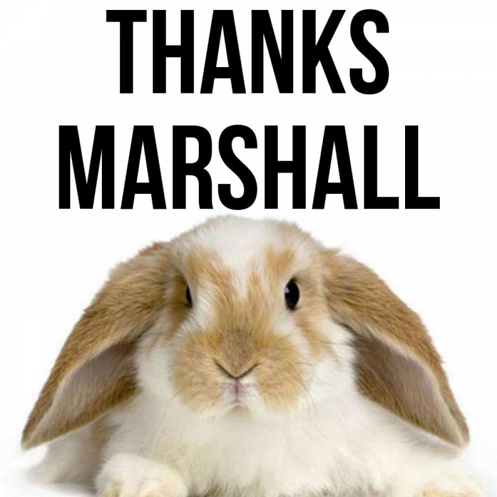 Greetings card с именем, Marshall Thanks коричнево белый заяц Greetings with text for free download 