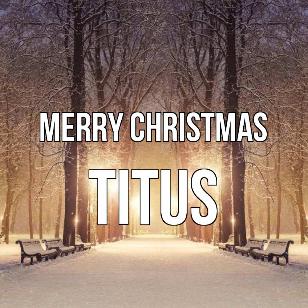 Greetings card с именем, Titus Merry Christmas зима, парк, фонарь, лес Greetings with text for free download 