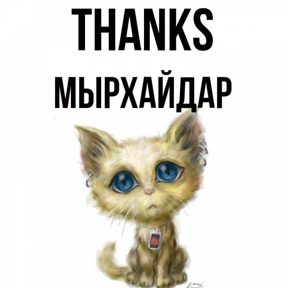 Greetings card с именем, МЫРХАЙДАР Thanks рисованный кот благодарит вас Greetings with text for free download 