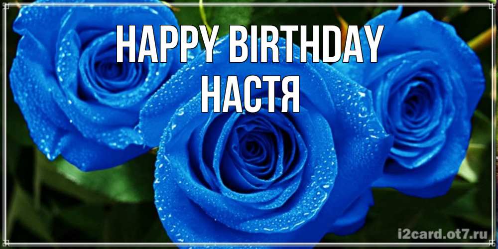 Greetings card с именем, Настя Happy Birthday розы с синим цветом Greetings with text for free download 