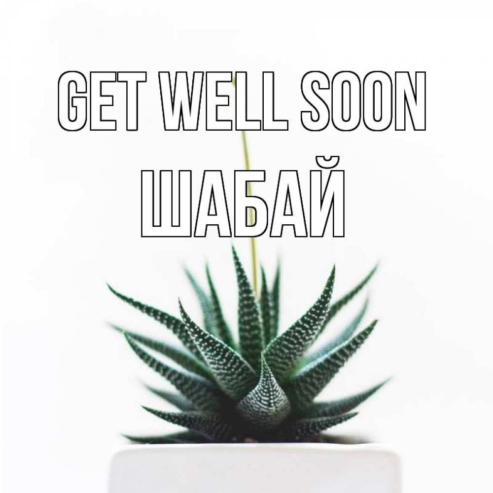 Greetings card с именем, ШАБАЙ Get well soon короче это непонятная колючка Greetings with text for free download 