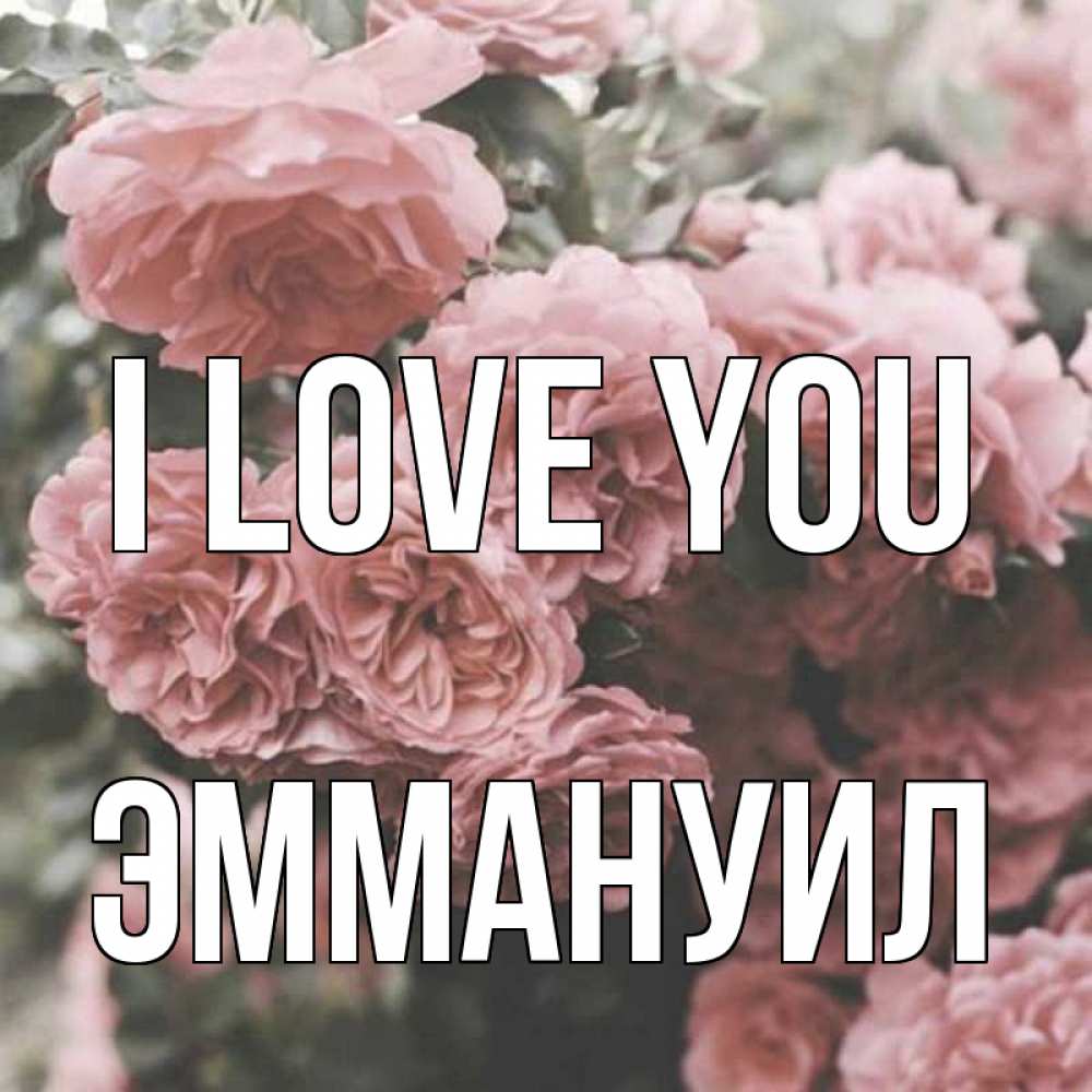 Greetings card с именем, Эммануил I love you розы 3 Greetings with text for free download 