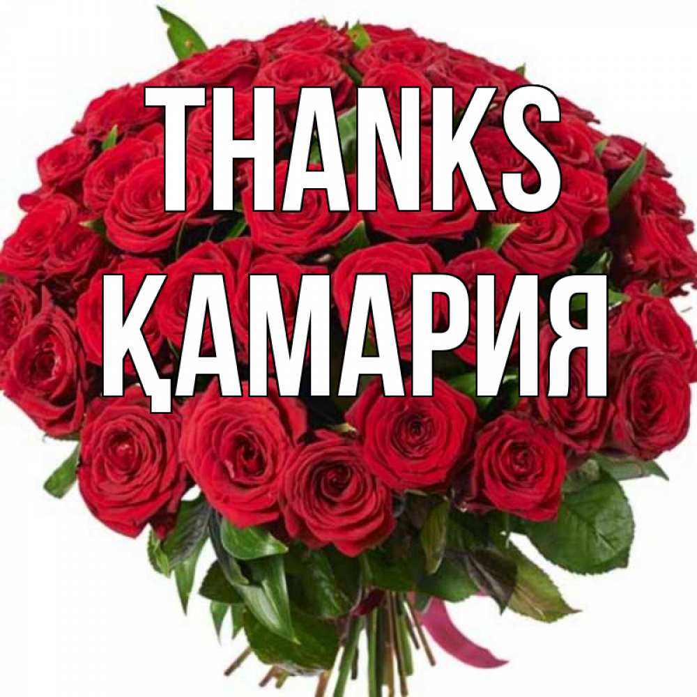 Greetings card с именем, ҚАМАРИЯ Thanks букет красных роз Greetings with text for free download 