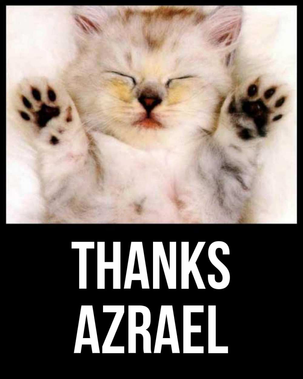 Greetings card с именем, Azrael Thanks маленький котенок Greetings with text for free download 
