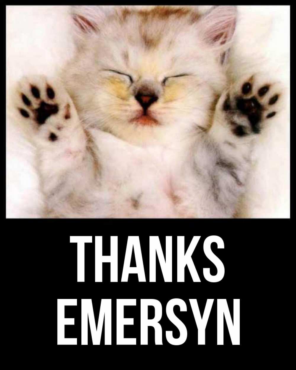 Greetings card с именем, Emersyn Thanks маленький котенок Greetings with text for free download 