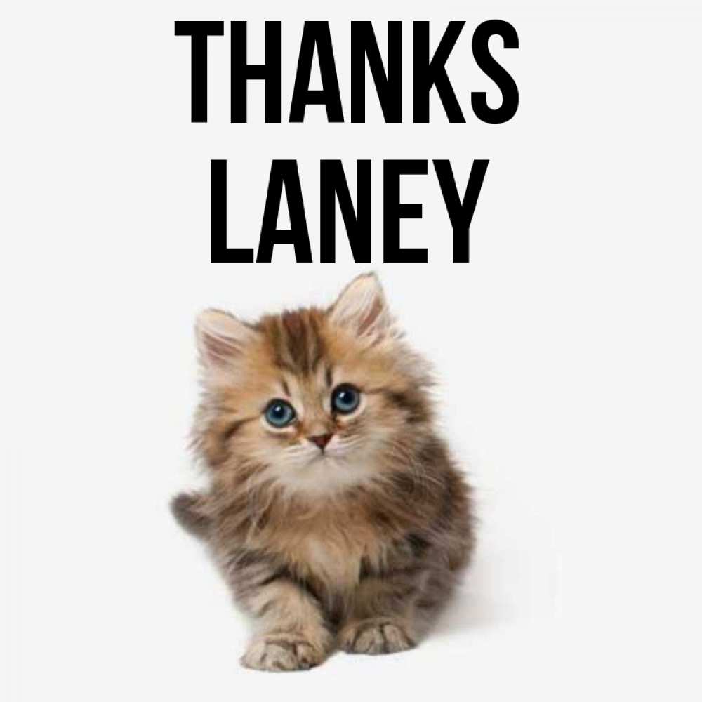 Greetings card с именем, Laney Thanks пушистый котик Greetings with text for free download 