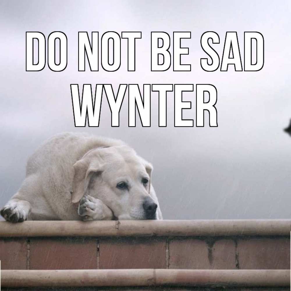 Greetings card с именем, Wynter Do not be sad белый пес 1 Greetings with text for free download 