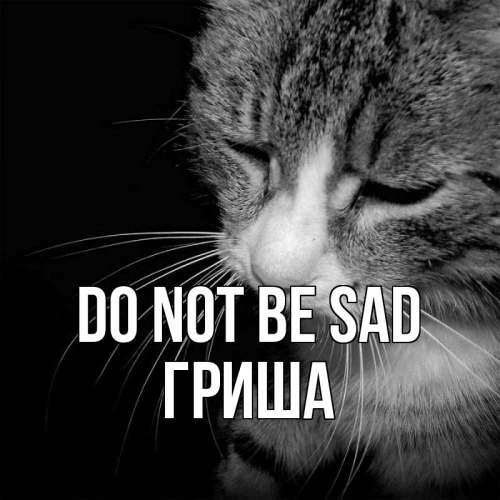 Greetings card с именем, Гриша Do not be sad грустный котик Greetings with text for free download 