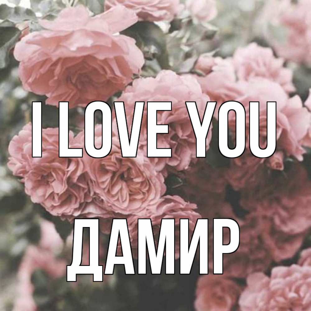 Greetings card с именем, Дамир I love you розы 3 Greetings with text for free download 
