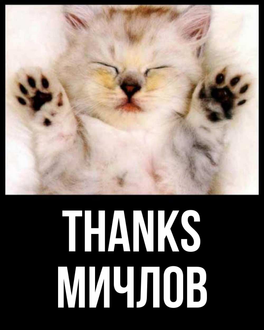 Greetings card с именем, Мичлов Thanks маленький котенок Greetings with text for free download 