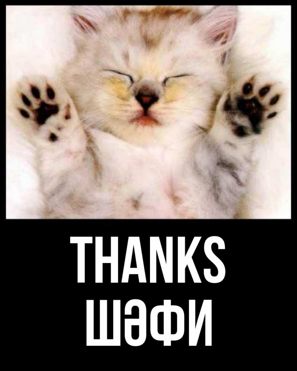Greetings card с именем, ШӘФИ Thanks маленький котенок Greetings with text for free download 