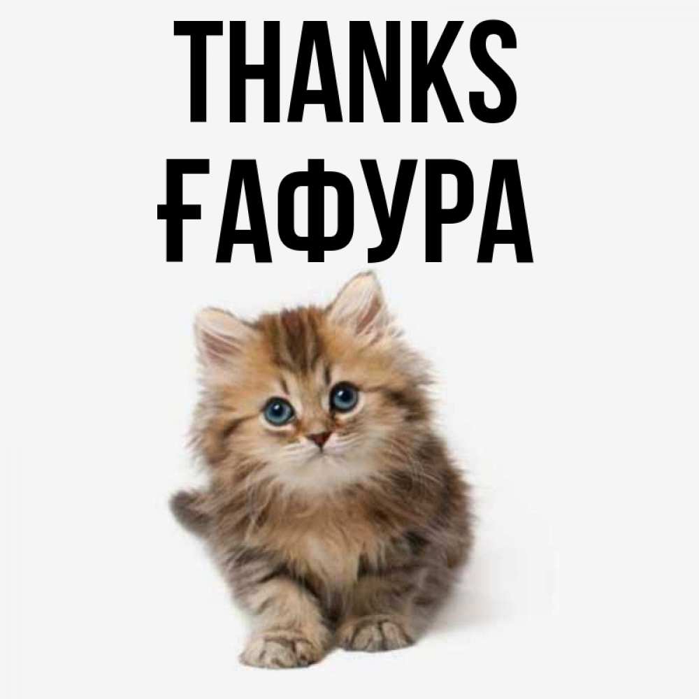 Greetings card с именем, ҒАФУРА Thanks пушистый котик Greetings with text for free download 