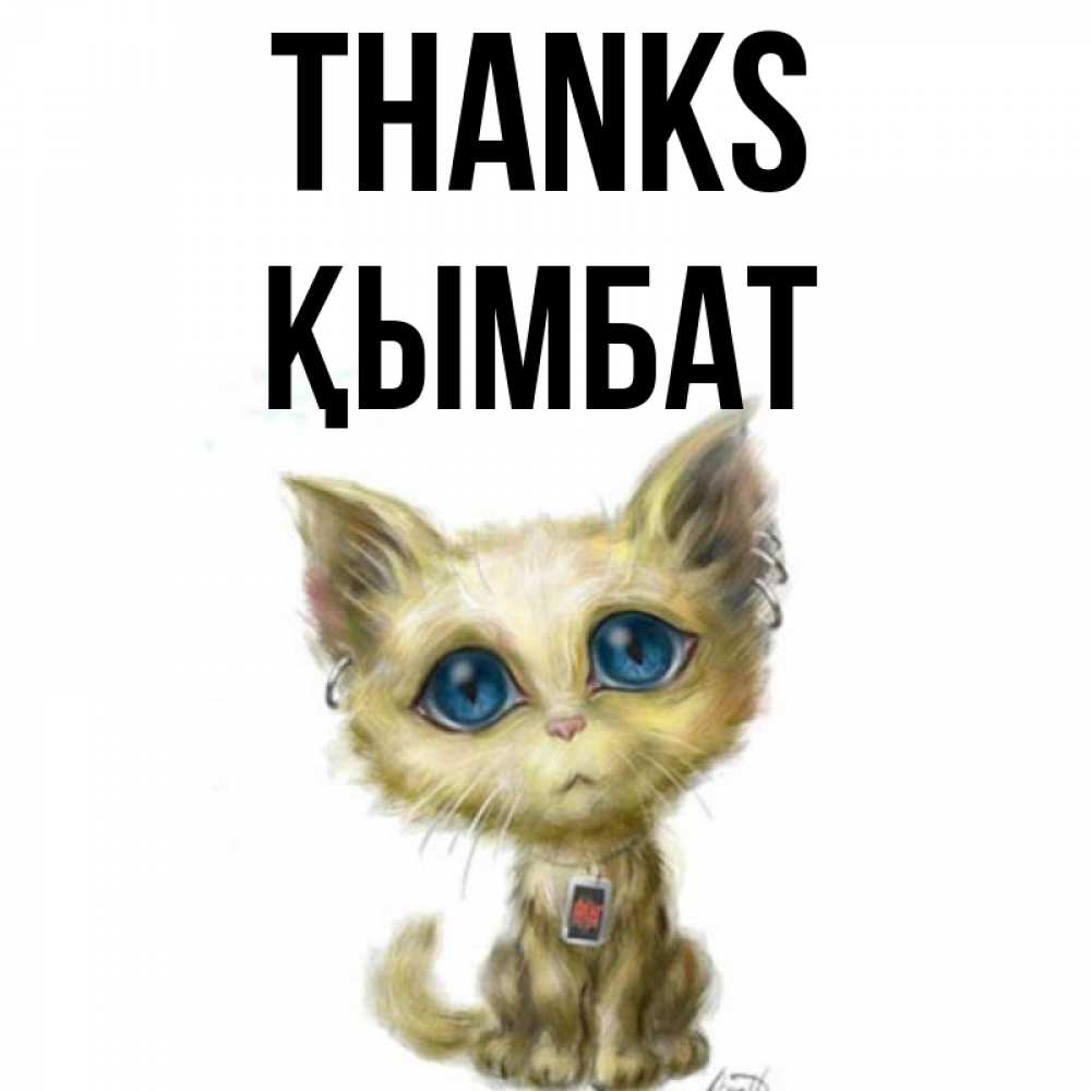 Greetings card с именем, ҚЫМБАТ Thanks рисованный кот благодарит вас Greetings with text for free download 