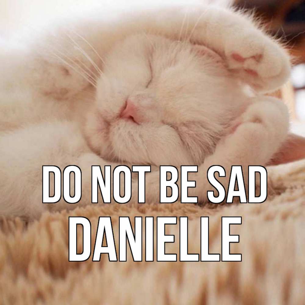 Greetings card с именем, Danielle Do not be sad белый кот Greetings with text for free download 