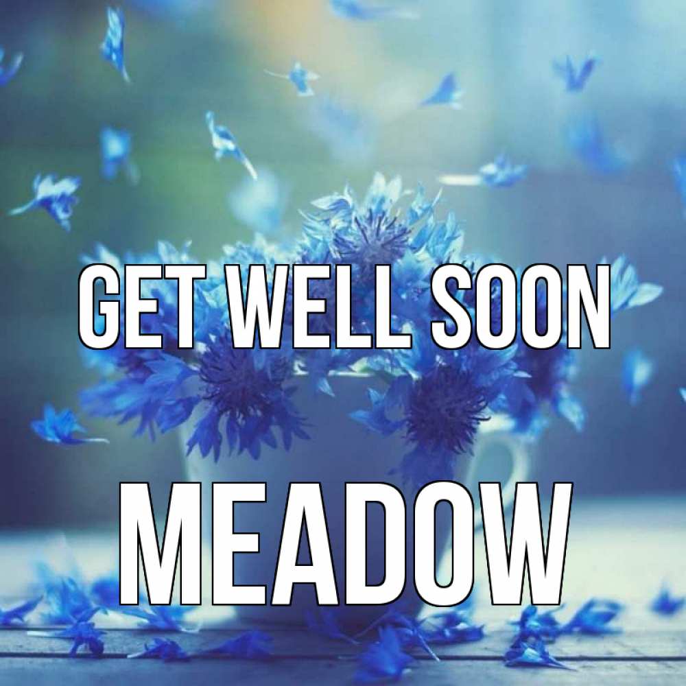 Greetings card с именем, Meadow Get well soon кружка с зельем и цветами Greetings with text for free download 