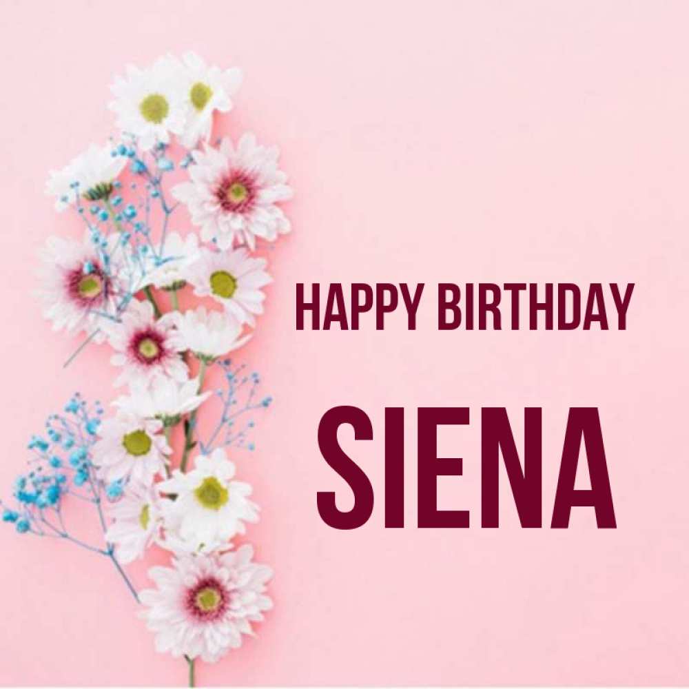 Greetings card с именем, Siena Happy Birthday Родная моя с днем рождения тебя картинка с цветами белыми и голубыми Greetings with text for free download 