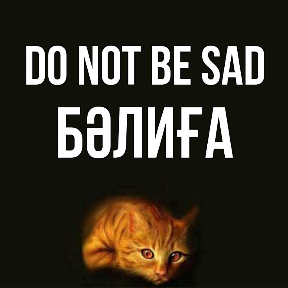 Greetings card с именем, БӘЛИҒА Do not be sad лежащий кот в темноте Greetings with text for free download 