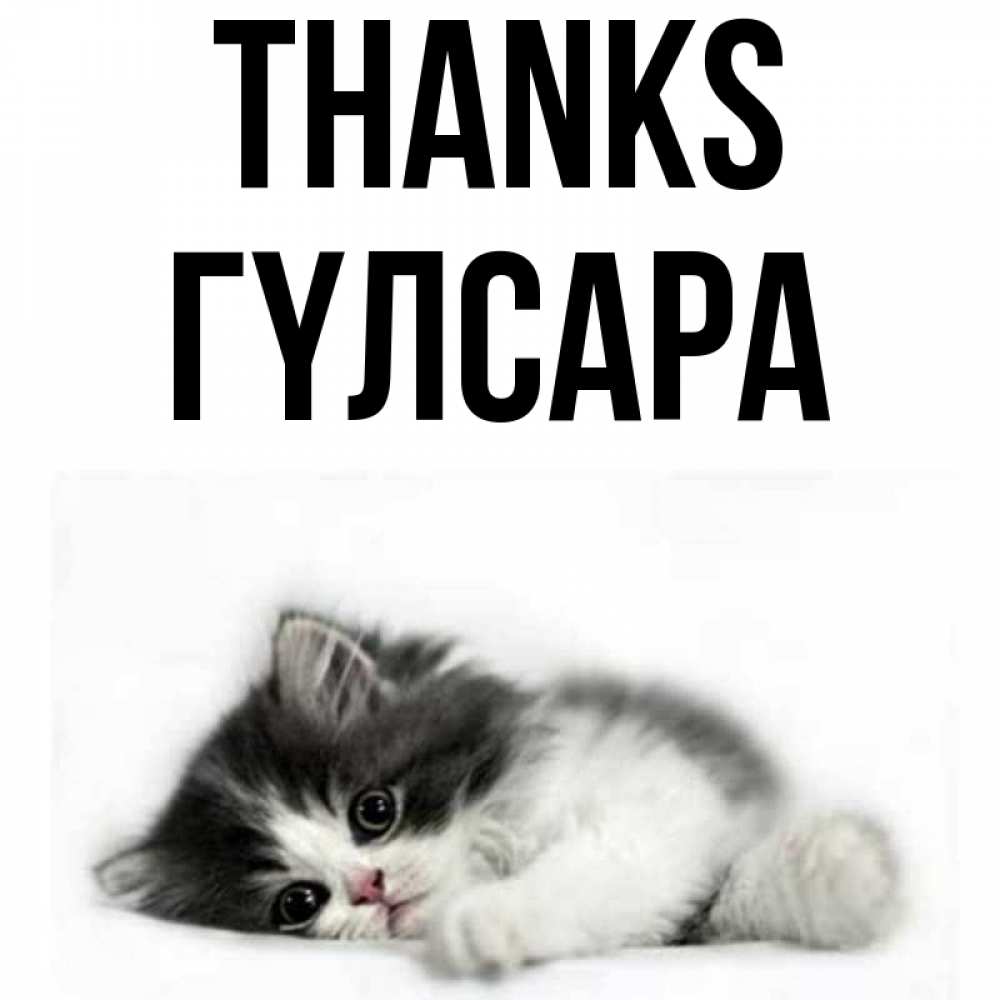 Greetings card с именем, ГҮЛСАРА Thanks черный и белый кот Greetings with text for free download 