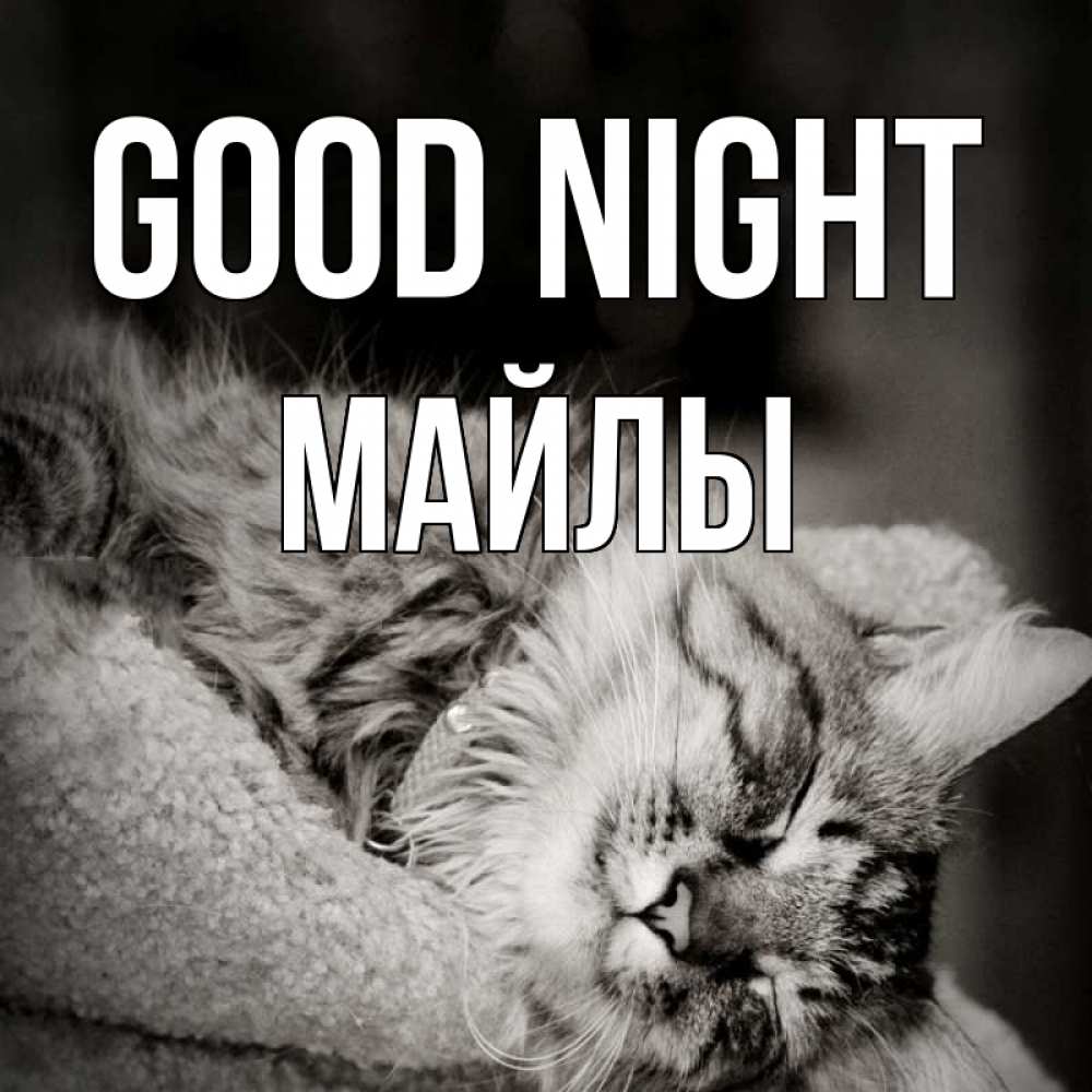 Greetings card с именем, МАЙЛЫ Good night котярик пушистый Greetings with text for free download 