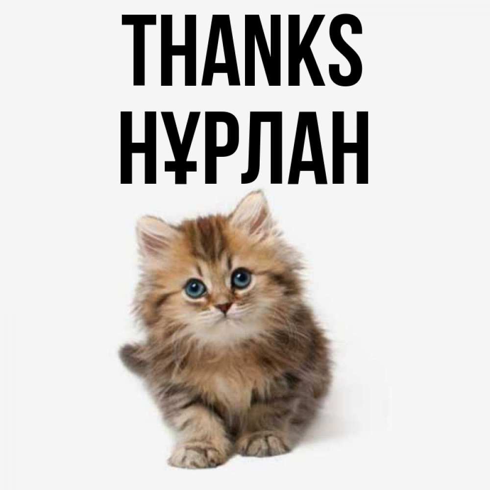 Greetings card с именем, НҰРЛАН Thanks пушистый котик Greetings with text for free download 