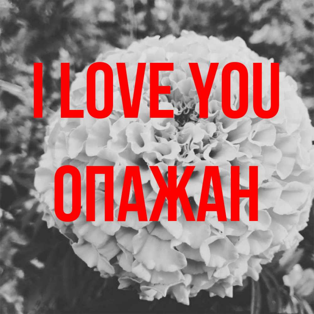 Greetings card с именем, ОПАЖАН I love you подпись Greetings with text for free download 