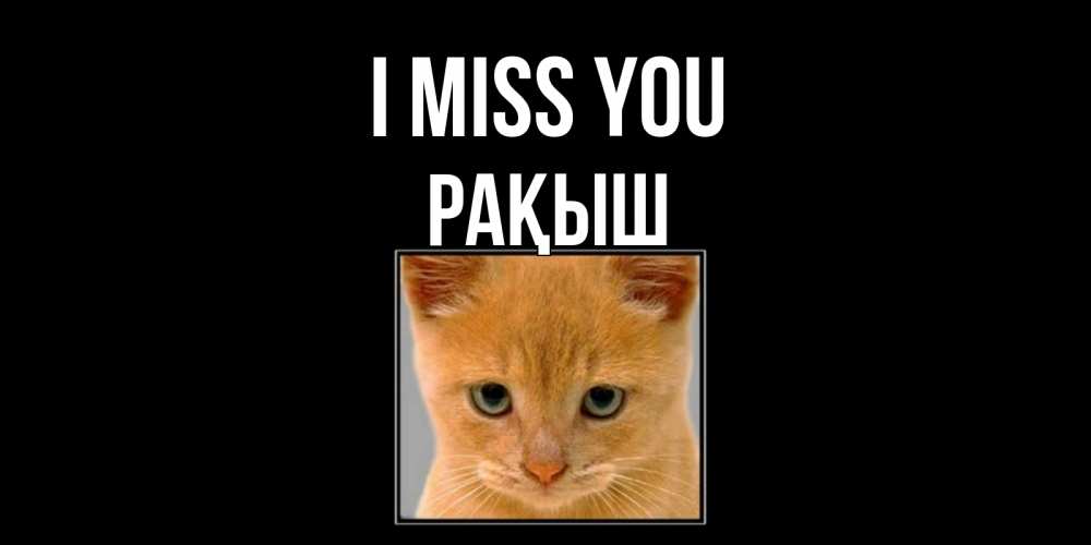 Greetings card с именем, Рақыш I miss you открытки рыжий котенок скучает по тебе Greetings with text for free download 