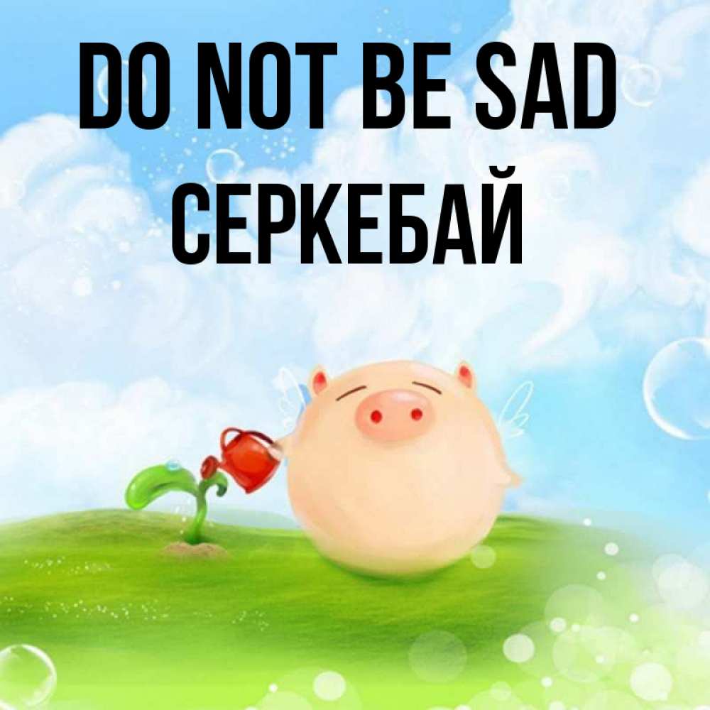 Greetings card с именем, СЕРКЕБАЙ Do not be sad поливает цветок порося Greetings with text for free download 
