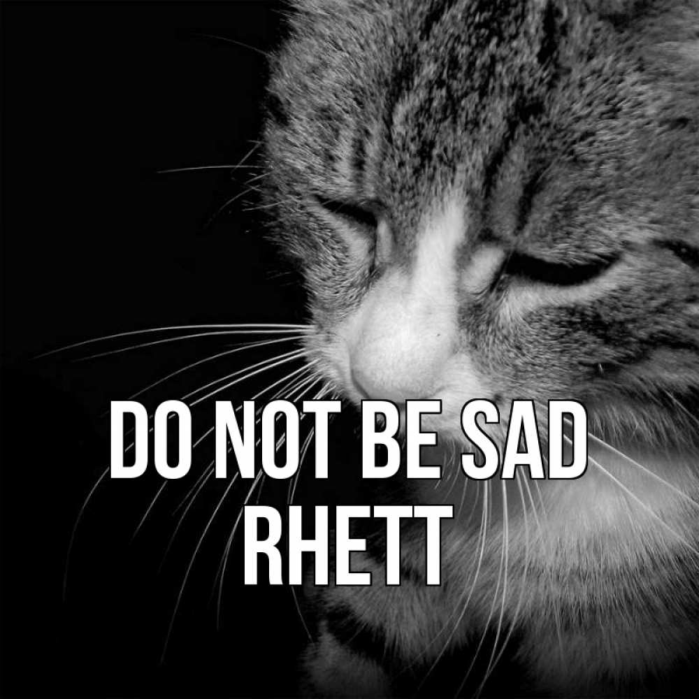Greetings card с именем, Rhett Do not be sad грустный котик Greetings with text for free download 