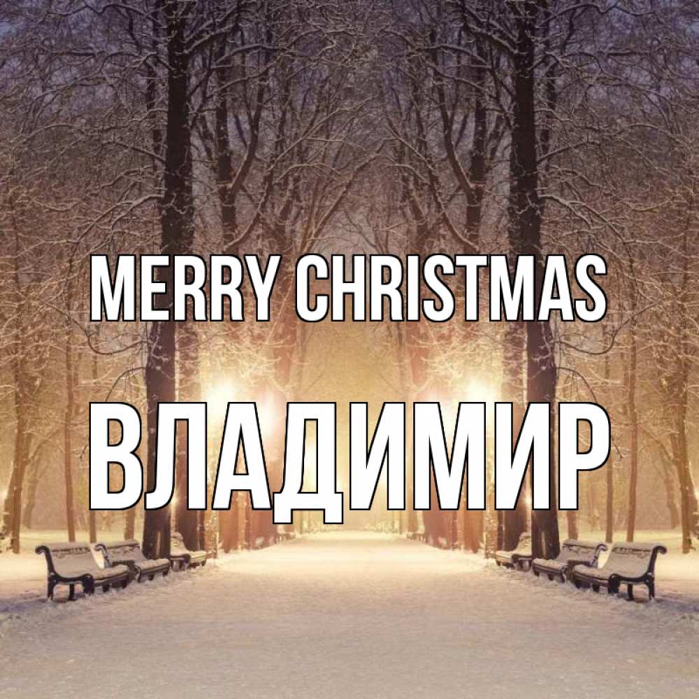 Greetings card с именем, Владимир Merry Christmas зима, парк, фонарь, лес Greetings with text for free download 