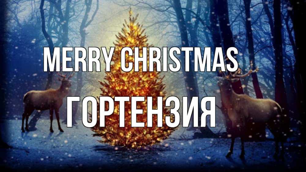 Greetings card с именем, Гортензия Merry Christmas олени, новогодняя елка Greetings with text for free download 