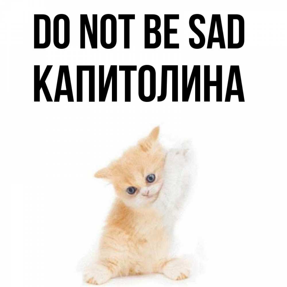 Greetings card с именем, Капитолина Do not be sad просящий кот Greetings with text for free download 