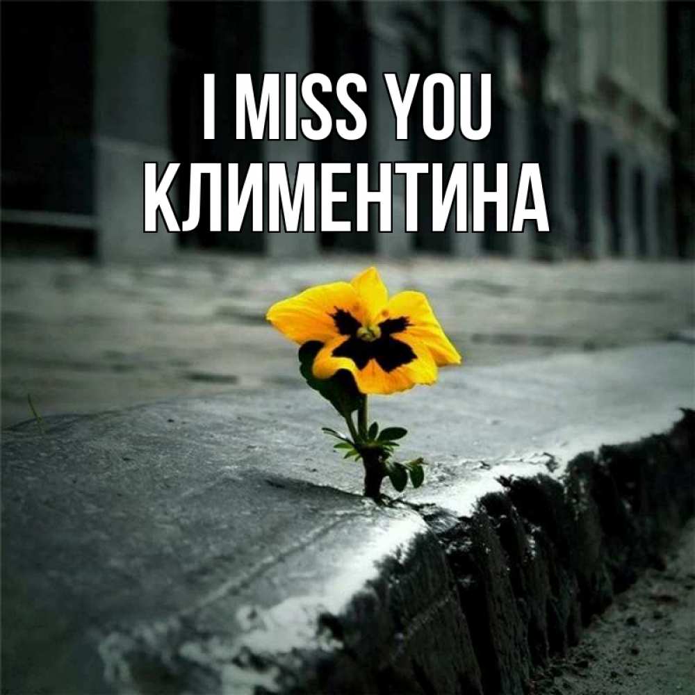 Greetings card с именем, Климентина I miss you надеюсь будет лучше Greetings with text for free download 